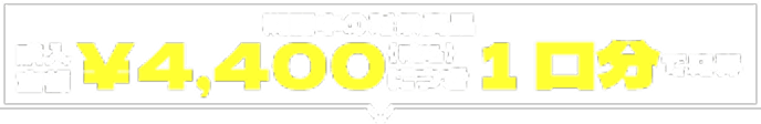 期間中の対象商品購入金額¥4,400（税込）につき1口分で応募