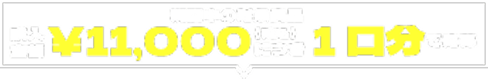 期間中の対象商品購入金額¥11,000（税込）につき1口分で応募